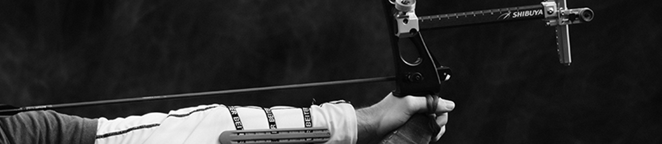 Banner - OpenBlow