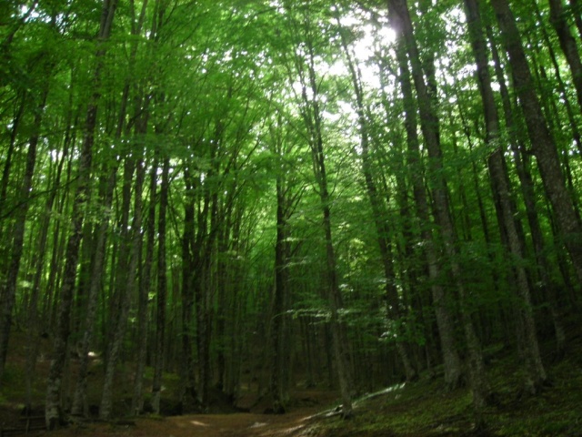 Una delle location dei campi di gara